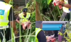 Geger Penemuan Bayi Dibuang di Kampung Jawa, Pelakunya Ternyata Remaja 15 Tahun