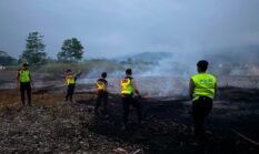 Lahan Pembuangan Limbah Kayu di Kajen Terbakar, Api Diduga Berasal dari Pembakaran Sampah Sisa Tebu