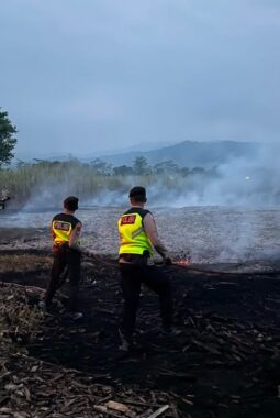 Lahan Pembuangan Limbah Kayu di Kajen Terbakar, Api Diduga Berasal dari Pembakaran Sampah Sisa Tebu