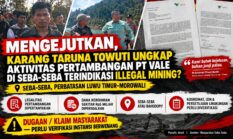 Mengejutkan, Karang Taruna Towuti Ungkap Aktivitas Pertambangan PT Vale di Seba-Seba Perbatasan Lutim Morowali Terindikasi Illegal?