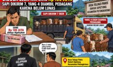 Diduga Gelapkan uang 100juta sapi dikirim 7 yang 4 diambil pedagang karna belum lunas di desa telogo pakis dukuh sipetung kecamatan petungkriono